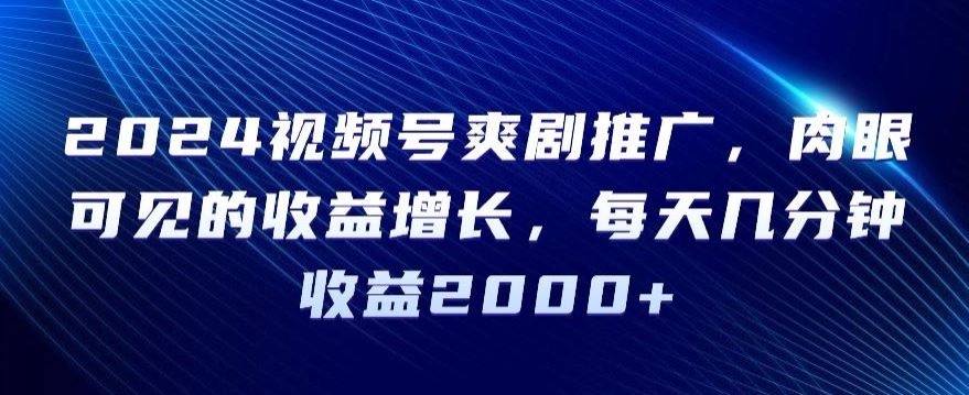 2024视频号爽剧推广，肉眼可见的收益增长，每天几分钟收益2000+【揭秘】-网站游戏源码-黑科技工具分享-www.0592tk.cn-厦门腾空互联