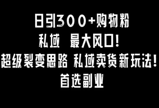 日引300+购物粉，超级裂变思路，私域卖货新玩法，小红书首选副业【揭秘】-网站游戏源码-黑科技工具分享-www.0592tk.cn-厦门腾空互联