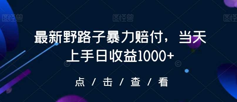 最新野路子暴力赔付，当天上手日收益1000+【仅揭秘】-网站游戏源码-黑科技工具分享-www.0592tk.cn-厦门腾空互联