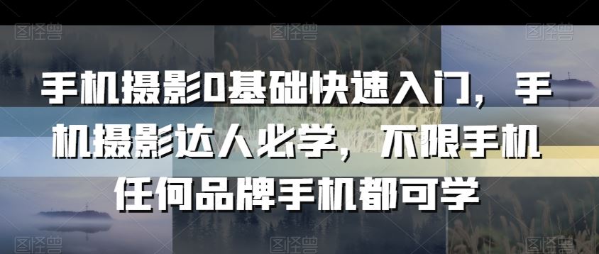 手机摄影0基础快速入门，手机摄影达人必学，不限手机任何品牌手机都可学-网站游戏源码-黑科技工具分享-www.0592tk.cn-厦门腾空互联