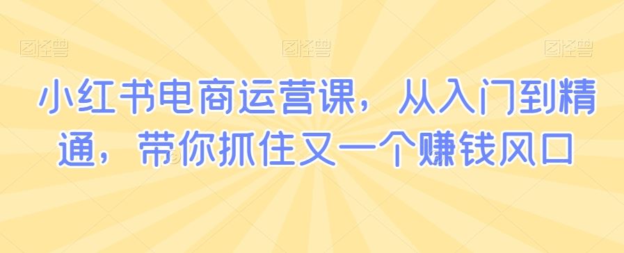 小红书电商运营课，从入门到精通，带你抓住又一个赚钱风口-网站游戏源码-黑科技工具分享-www.0592tk.cn-厦门腾空互联