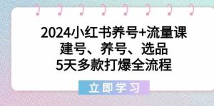 2024小红书养号+流量课：建号、养号、选品，5天多款打爆全流程-网站游戏源码-黑科技工具分享-www.0592tk.cn-厦门腾空互联
