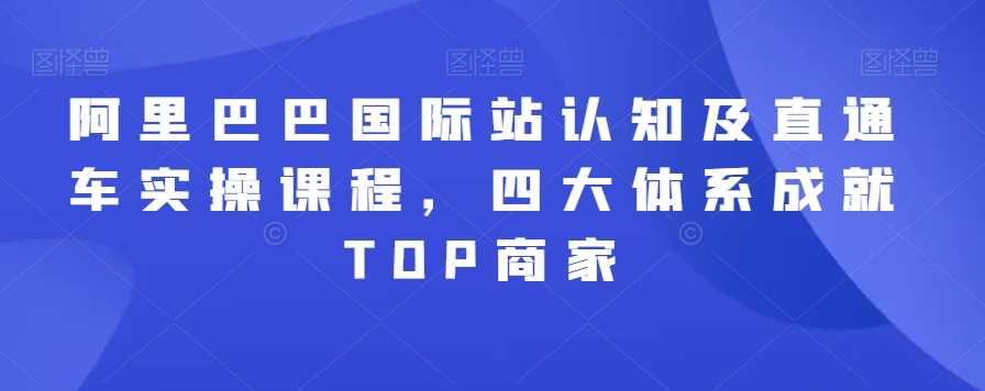 阿里巴巴国际站认知及直通车实操课程，四大体系成就TOP商家-网站游戏源码-黑科技工具分享-www.0592tk.cn-厦门腾空互联
