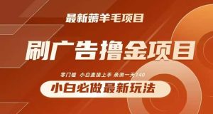 2024最新小白必撸项目，刷广告撸金最新玩法，亲测一天140【揭秘】-网站游戏源码-黑科技工具分享-www.0592tk.cn-厦门腾空互联