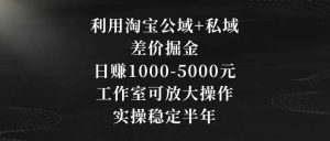 利用淘宝公域+私域差价掘金，日赚1000-5000元，工作室可放大操作，实操稳定半年【揭秘】-网站游戏源码-黑科技工具分享-www.0592tk.cn-厦门腾空互联