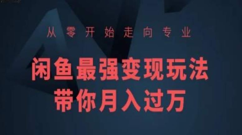 从零开始走向专业，闲鱼最强变现玩法带你月入过万-网站游戏源码-黑科技工具分享-www.0592tk.cn-厦门腾空互联