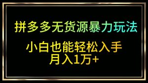 拼多多无货源暴力玩法，全程干货，小白也能轻松入手，月入1万+-网站游戏源码-黑科技工具分享-www.0592tk.cn-厦门腾空互联
