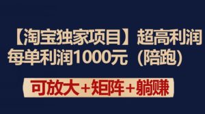【淘宝独家项目】超高利润：每单利润1000元【揭秘】-网站游戏源码-黑科技工具分享-www.0592tk.cn-厦门腾空互联