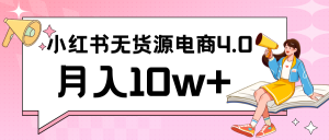 小红书新电商实战 无货源实操从0到1月入10w+ 联合抖音放大收益-网站游戏源码-黑科技工具分享-www.0592tk.cn-厦门腾空互联
