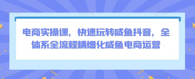 电商实操课，快速玩转咸鱼抖音，全体系全流程精细化咸鱼电商运营-网站游戏源码-黑科技工具分享-www.0592tk.cn-厦门腾空互联