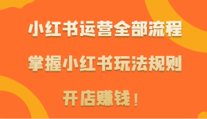 小红书运营全部流程，掌握小红书玩法规则，开店赚钱！-网站游戏源码-黑科技工具分享-www.0592tk.cn-厦门腾空互联