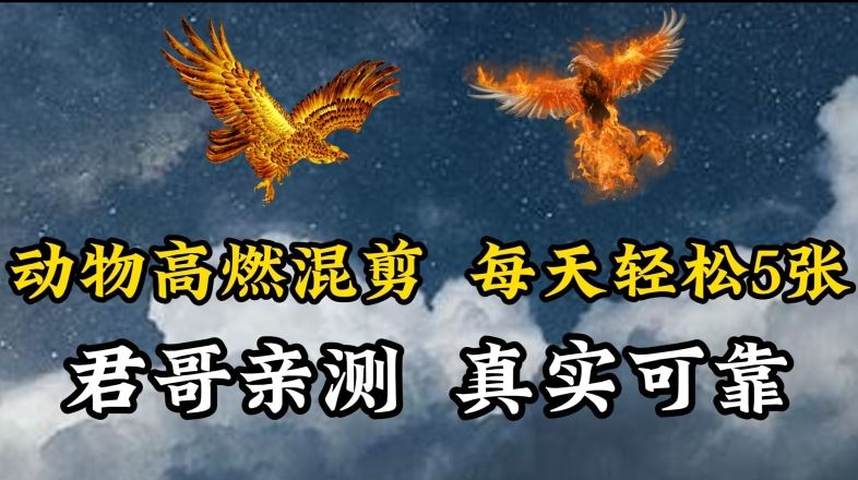 动物超燃混剪，每天轻松5张，剪辑简单大家爱看【揭秘】-网站游戏源码-黑科技工具分享-www.0592tk.cn-厦门腾空互联