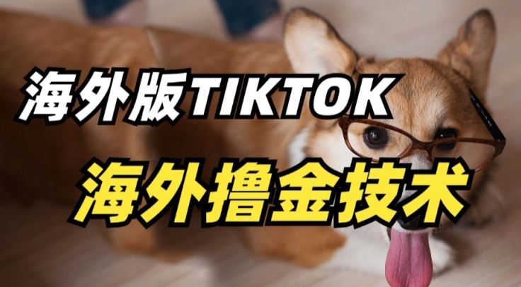 抖音海外版tiktok撸金技术，这个风口行业，赚钱真的不难【揭秘】-网站游戏源码-黑科技工具分享-www.0592tk.cn-厦门腾空互联