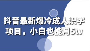 抖音最新爆冷成人识字项目，小白也能月5w-网站游戏源码-黑科技工具分享-www.0592tk.cn-厦门腾空互联