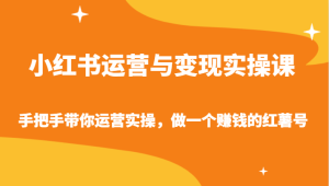 小红书运营与变现实操课-手把手带你运营实操，做一个赚钱的红薯号-网站游戏源码-黑科技工具分享-www.0592tk.cn-厦门腾空互联