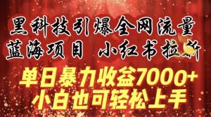 蓝海项目!黑科技引爆全网流量小红书拉新,单日暴力收益7000+,小白也能轻松上手【揭秘】-网站游戏源码-黑科技工具分享-www.0592tk.cn-厦门腾空互联