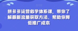 拼多多运营必学体系课，带你了解最新流量获取方法、帮助你降低推广成本-网站游戏源码-黑科技工具分享-www.0592tk.cn-厦门腾空互联