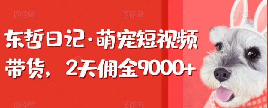 东哲日记·萌宠短视频带货，2天佣金9000+-网站游戏源码-黑科技工具分享-www.0592tk.cn-厦门腾空互联