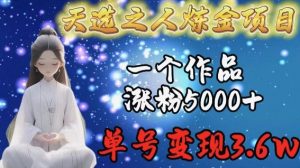天选之人炼金项目，一个作品涨粉5000+，单号变现3.6w【揭秘】-网站游戏源码-黑科技工具分享-www.0592tk.cn-厦门腾空互联