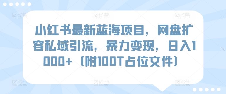 小红书最新蓝海项目，网盘扩容私域引流，暴力变现，日入1000+（附100T占位文件）【揭秘】-网站游戏源码-黑科技工具分享-www.0592tk.cn-厦门腾空互联