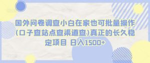 国外问卷调查小白在家也可批量操作(口子查站点查渠道查)真正的长久稳定项目 日入1500+【揭秘】-网站游戏源码-黑科技工具分享-www.0592tk.cn-厦门腾空互联