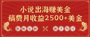 小说出海赚美金,稿费月收益2500+美金,仅需chatgpt粘贴复制,新手也能玩转【揭秘】-网站游戏源码-黑科技工具分享-www.0592tk.cn-厦门腾空互联
