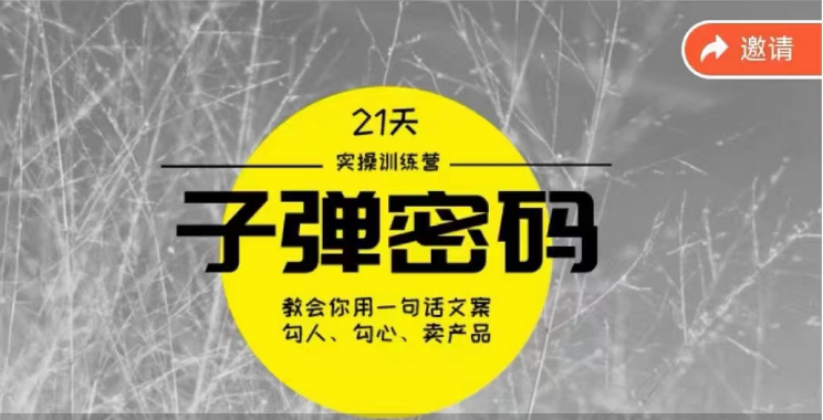 《子弹密码训练营》-用一句话文案勾人勾心卖产品，21天学到顶尖文案大师策略和技巧-网站游戏源码-黑科技工具分享-www.0592tk.cn-厦门腾空互联