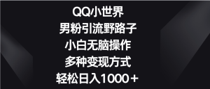 QQ小世界男粉引流野路子，小白无脑操作，多种变现方式轻松日入1000＋-网站游戏源码-黑科技工具分享-www.0592tk.cn-厦门腾空互联