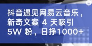 抖音遇见网易云音乐，新奇文案 4 天吸引 5W 粉，日挣1000+【揭秘】-网站游戏源码-黑科技工具分享-www.0592tk.cn-厦门腾空互联