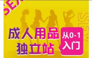 成人用品独立站从0-1入门，成品独立站运营全流程教学，七大好卖成品独立站推荐-网站游戏源码-黑科技工具分享-www.0592tk.cn-厦门腾空互联