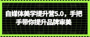 自媒体美学提升营5.0,手把手带你提升品牌审美-网站游戏源码-黑科技工具分享-www.0592tk.cn-厦门腾空互联