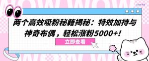 两个高效吸粉秘籍揭秘:特效加持与神奇布偶,轻松涨粉5000+【揭秘】-网站游戏源码-黑科技工具分享-www.0592tk.cn-厦门腾空互联