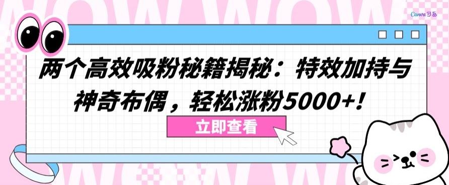 两个高效吸粉秘籍揭秘：特效加持与神奇布偶，轻松涨粉5000+【揭秘】-网站游戏源码-黑科技工具分享-www.0592tk.cn-厦门腾空互联