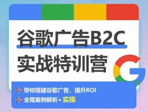 谷歌广告B2C实战特训营，500+谷歌账户总结经验，实战演示如何从0-1搭建广告账户-网站游戏源码-黑科技工具分享-www.0592tk.cn-厦门腾空互联