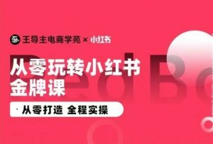 王导主·小红书电商运营实操课，​从零打造  全程实操-网站游戏源码-黑科技工具分享-www.0592tk.cn-厦门腾空互联