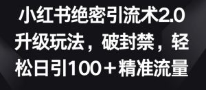 小红书绝密引流术2.0升级玩法，破封禁，轻松日引100+精准流量【揭秘】-网站游戏源码-黑科技工具分享-www.0592tk.cn-厦门腾空互联