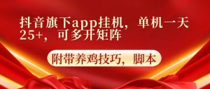 抖音旗下app自动挂机，单机一天收益25+，可多开矩阵-网站游戏源码-黑科技工具分享-www.0592tk.cn-厦门腾空互联