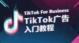 TikTok广告入门教程,从0到1掌握TikTok投放的全流程-网站游戏源码-黑科技工具分享-www.0592tk.cn-厦门腾空互联