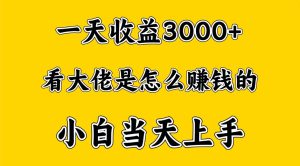一天赚3000多,大佬是这样赚到钱的,小白当天上手,穷人翻身项目-网站游戏源码-黑科技工具分享-www.0592tk.cn-厦门腾空互联