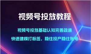 视频号投放教程-视频号投放基础认知完善疏通，快速建模打标签，稳住投产稳住账号-网站游戏源码-黑科技工具分享-www.0592tk.cn-厦门腾空互联