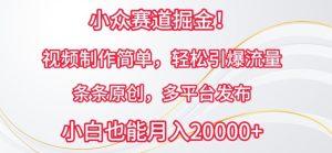 小众赛道掘金，视频制作简单，轻松引爆流量，条条原创，多平台发布【揭秘】-网站游戏源码-黑科技工具分享-www.0592tk.cn-厦门腾空互联