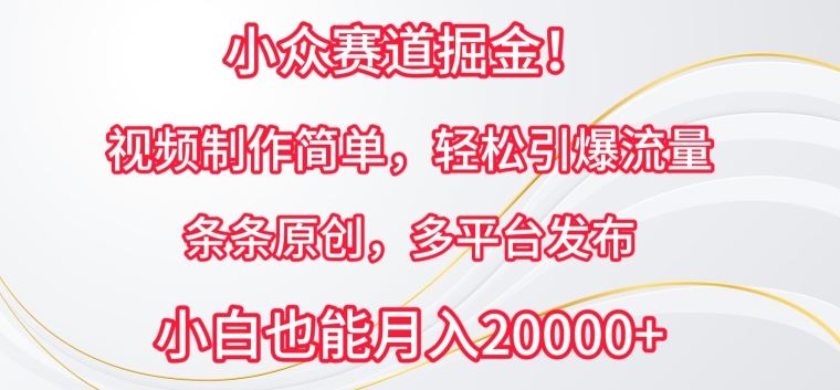 小众赛道掘金,视频制作简单,轻松引爆流量,条条原创,多平台发布【揭秘】-网站游戏源码-黑科技工具分享-www.0592tk.cn-厦门腾空互联