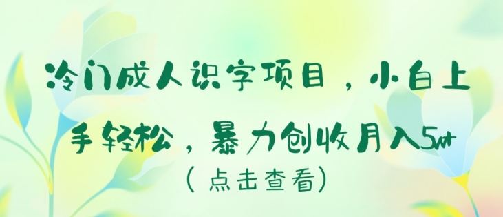 冷门成人识字项目，小白上手轻松，暴力创收月入5w+【揭秘】-网站游戏源码-黑科技工具分享-www.0592tk.cn-厦门腾空互联