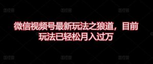 微信视频号最新玩法之狼道，目前玩法已轻松月入过万【揭秘】-网站游戏源码-黑科技工具分享-www.0592tk.cn-厦门腾空互联