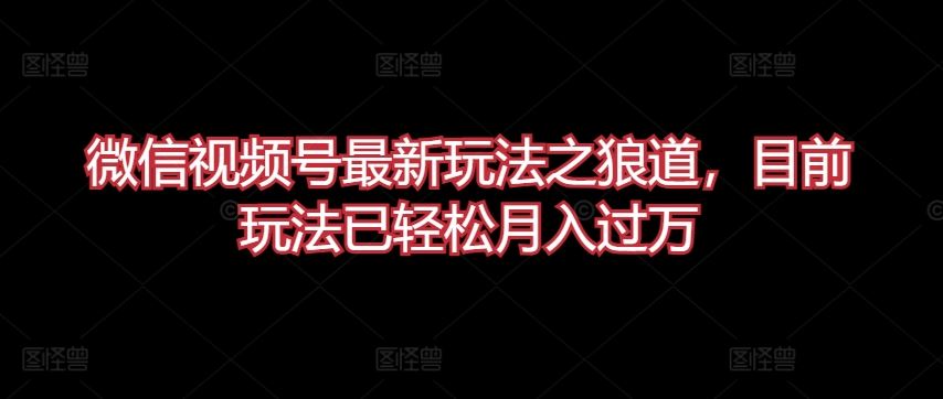 微信视频号最新玩法之狼道,目前玩法已轻松月入过万【揭秘】-网站游戏源码-黑科技工具分享-www.0592tk.cn-厦门腾空互联