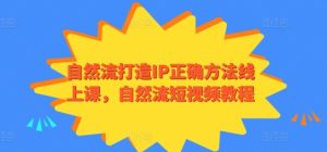 自然流打造IP正确方法线上课,自然流短视频教程-网站游戏源码-黑科技工具分享-www.0592tk.cn-厦门腾空互联