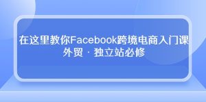 （10259期）在这里教你Facebook跨境电商入门课，外贸·独立站必修-网站游戏源码-黑科技工具分享-www.0592tk.cn-厦门腾空互联