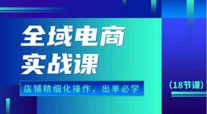 全域电商实战课,个人店铺精细化操作流程,出单必学内容(18节课)-网站游戏源码-黑科技工具分享-www.0592tk.cn-厦门腾空互联