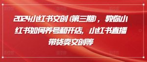 2024小红书文创(第三期),教你小红书如何养号和开店,小红书直播带货卖文创等-网站游戏源码-黑科技工具分享-www.0592tk.cn-厦门腾空互联