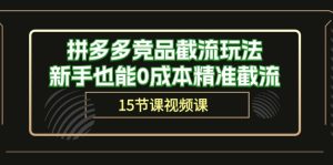 (10301期)拼多多竞品截流玩法,新手也能0成本精准截流(15节课)-网站游戏源码-黑科技工具分享-www.0592tk.cn-厦门腾空互联